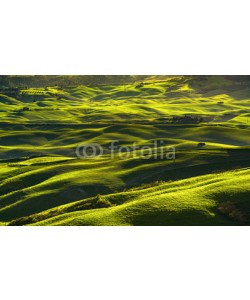 stevanzz, Volterra panorama, rolling hills, fields and meadow at sunset. Tuscany, Italy