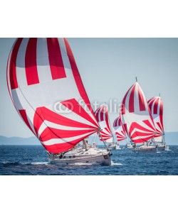 Pavel, Fleet of sailing boats with spinnaker during offshore race
