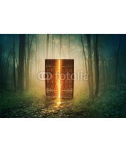 kevron2001, Glowing door in forest