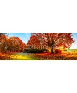 John Smith, Landscape in autumn with big oak tree
