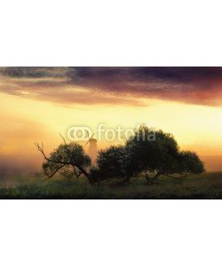 Viktar, Misty morning landscape with a windmill. The Belarusian landscape, village Dudutki.