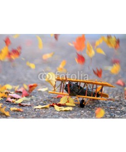 Alaskajade, Autumn leaves blowing in the wind across a yellow model airplane