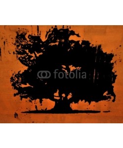 celeste clochard, l'olivier séculaire