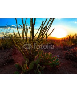 bvuhh, Desert Sunset