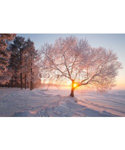 alexugalek, Winter landscape