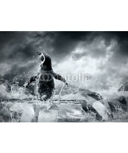 Andrii Iurlov, Penguin on the Ice in water drops.