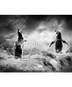 Andrii Iurlov, Penguin on the Ice in water drops.
