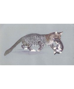 Nadiia Starovoitova, Watercolor Animal Collection: Cat