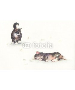Nadiia Starovoitova, Watercolor Animal Collection: Cat