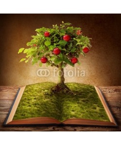 Elena Schweitzer, Book of knowledge