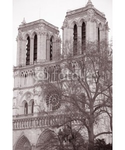 kevers, Notre Dame Cathedral in Paris, France
