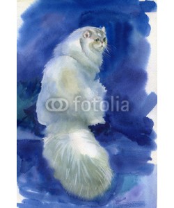 Nadiia Starovoitova, Cat