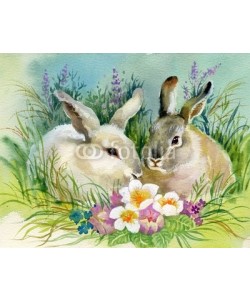 Nadiia Starovoitova, Watercolor Illustration: Rabbits