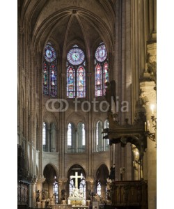 Blickfang, Notre Dame Paris