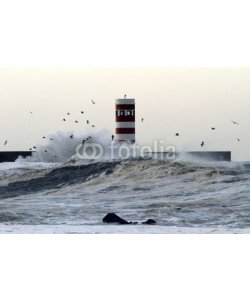 Zacarias da Mata, Douro waves