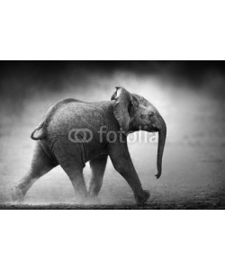 JOHAN SWANEPOEL, Baby Elephant running (Artistic processing)