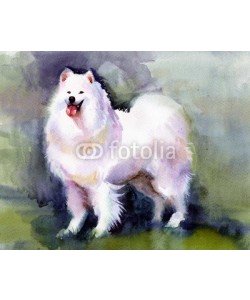 Nadiia Starovoitova, Watercolor Animal Collection: Dog