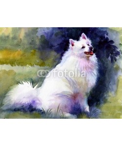 Nadiia Starovoitova, Watercolor Animal Collection: Dog