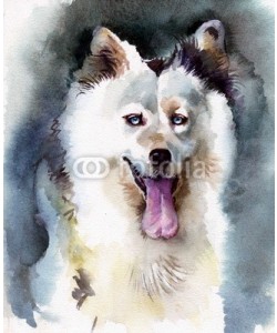 Nadiia Starovoitova, Watercolor Animal Collection: Dog