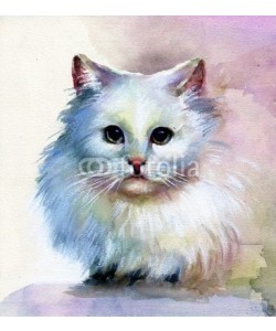 Nadiia Starovoitova, Watercolor Animal Collection: White Cat