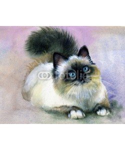 Nadiia Starovoitova, Watercolor Animal Collection: Cat