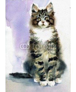 Nadiia Starovoitova, Watercolor Animal Collection: Gray Cat