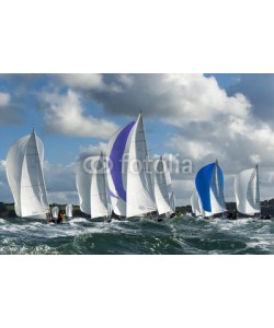 synto, group yacht at regatta