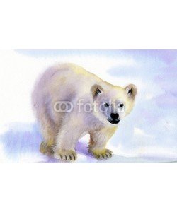 Nadiia Starovoitova, Polar bear in snow