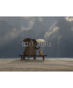 Photobank, elephant and dog sit under the rain