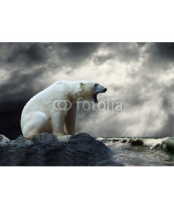 Andrii Iurlov, White Polar Bear Hunter on the Ice in water drops.