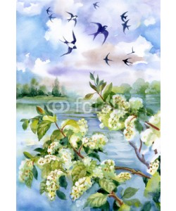 Nadiia Starovoitova, Flowers of the cherry blossoms on a spring day