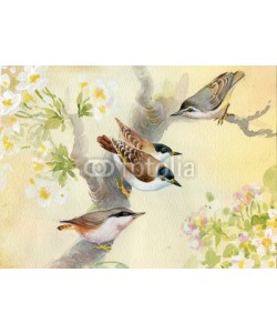 Nadiia Starovoitova, Birds on a blossoming apple tree