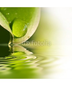 Delphotostock, Gouttes d'eau sur une feuille, reflets