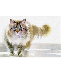Nadiia Starovoitova, Watercolor Animal Collection: Cat