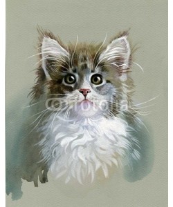 Nadiia Starovoitova, Watercolor Animal Collection: Gray Cat