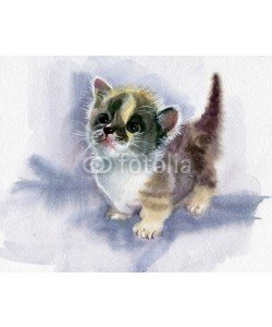 Nadiia Starovoitova, Watercolor Animal Collection: Kitten