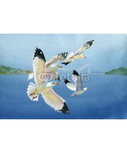 Nadiia Starovoitova, Watercolor seagulls