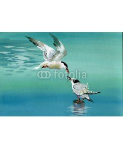 Nadiia Starovoitova, Watercolor birds