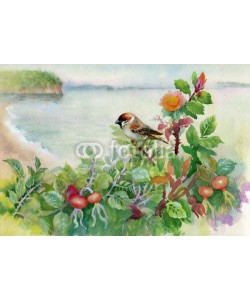 Nadiia Starovoitova, Watercolor sparrow on dog-rose