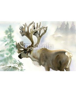 Nadiia Starovoitova, Moose in winter forest