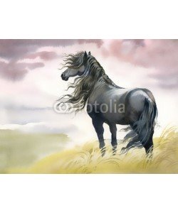 Nadiia Starovoitova, Black horse in a field