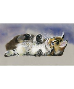 Nadiia Starovoitova, Watercolor Animal Collection: Cat