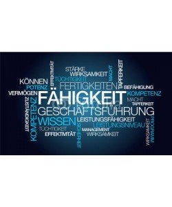 morganimation, Fähigkeit Geschäftsführung Wissen blau tag cloud Worte