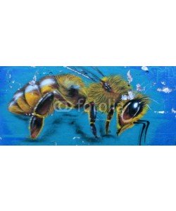 celeste clochard, graffiti