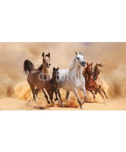 loya_ya, Horses in sand dust