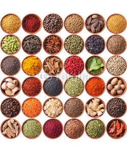 andriigorulko, collection of different spices and herbs isolated on white