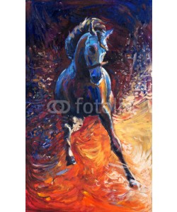 Boyan Dimitrov, Blue horse