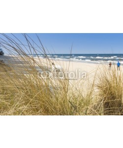 reachart777, Dune with beach grass in the foreground.