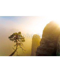 Visions-AD, Morgensonne bei Nebel im Gebirge