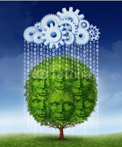 freshidea, Social Media Growth